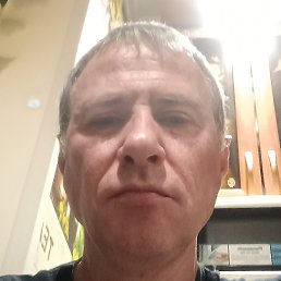 ����, ���������, 46 ���