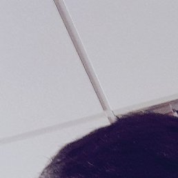 Suxrob, �����, 22 ����