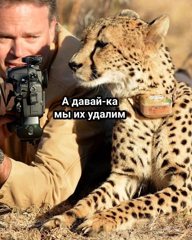 Мой случай - 7