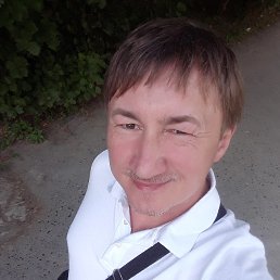 ������, 41 ���, ������������