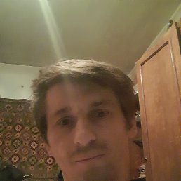 , 37, 