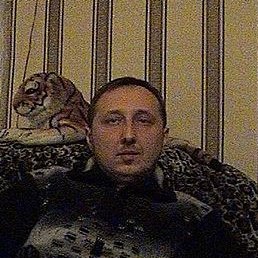 �������, ��������, 49 ���