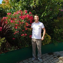 ���������, ���������, 41 ���