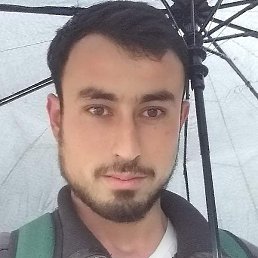 �������, �����-���������, 31 ���