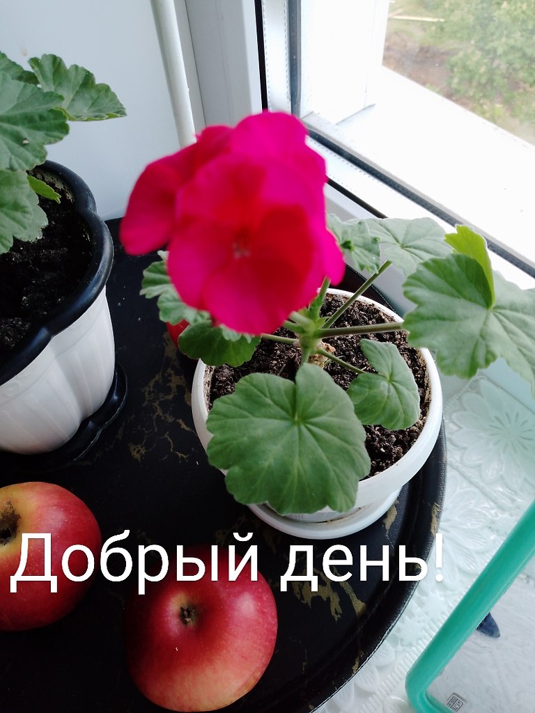   ,    . - 5  2024  14:16