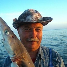 ������, ���������, 65 ���