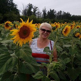 , 62, ,  