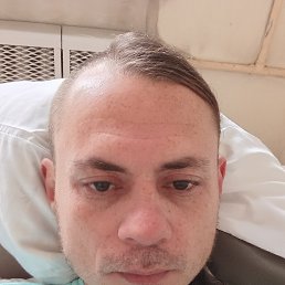 Vladimir edisonovich, 38 ���, ������������