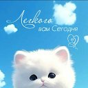 ���� ����, ������, 51 ��� - ��������� 28 ������� 2023 � ������ ���� ����������