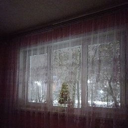 ���� �������, �������, 48 ��� - ��������� 3 ������ 2026