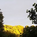 ���� �������, �����������, 50 ��� - ��������� 16 ���� 2025 � ������ ���� � ������