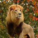 ���� ������, ������, 39 ��� - ��������� 13 ������� 2024