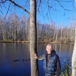 �����, 63 ����, �����