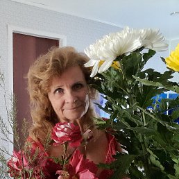 ���� ��������, ���������, 72 ���� - ��������� 14 �������� 2026