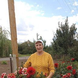 �����, �������, 65 ���