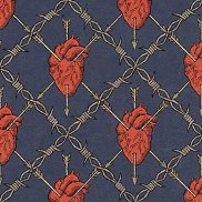 �����, 25 ���, �����-���������