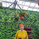 ���� �������, ������, 66 ��� - ��������� 20 ������� 2025