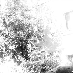 ����, ������, 37 ���