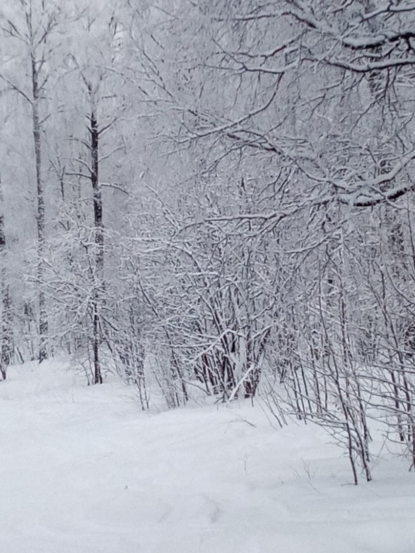  - 18  2025  13:50 - 3