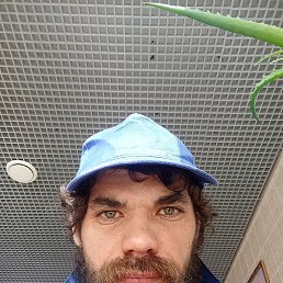 , 38, 