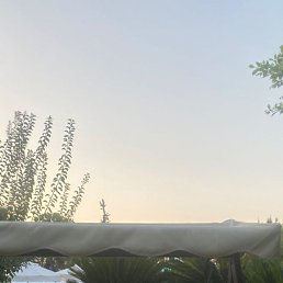 ����, �����-���������, 54 ����