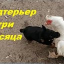 ���� ����, ������, 21 ��� - ��������� 23 ������ 2023 � ������ ������ ��������