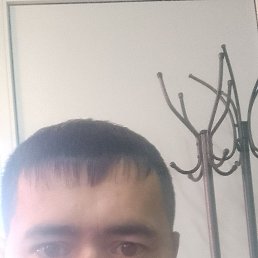 , 37, 