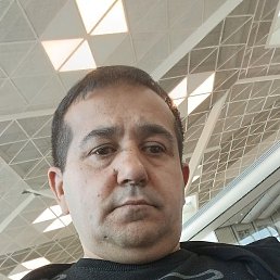 ����, 41 ���, ������