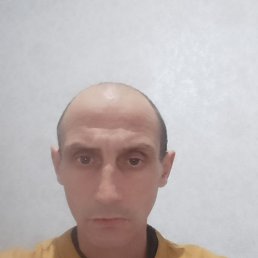 , 44 , 
