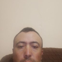 , 37, 
