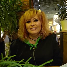 ���� ����, ������, 51 ��� - ��������� 15 ���� 2026