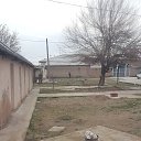 ���� ������, �����, 37 ��� - ��������� 11 ������� 2024 � ������ ���� ����������