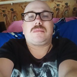 , 41, 