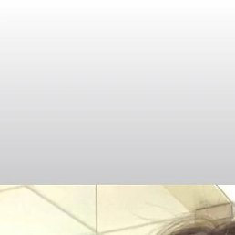 �����, �����������, 44 ����