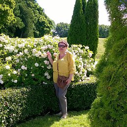 ����������, ������-����, 72 ����