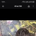 ���� ����, ������-��-����, 58 ��� - ��������� 20 ��� 2026 � ������ ���� ����������