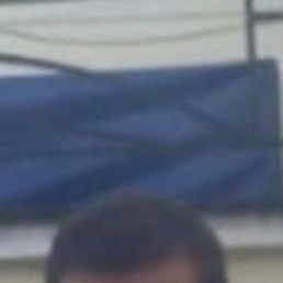 , 57, 