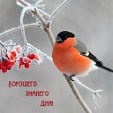 ���� �������@, �������� - ��������� 14 ������ 2026 � ������ ������ ��������