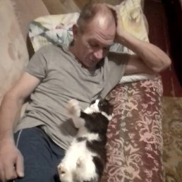 �����, ������, 54 ����