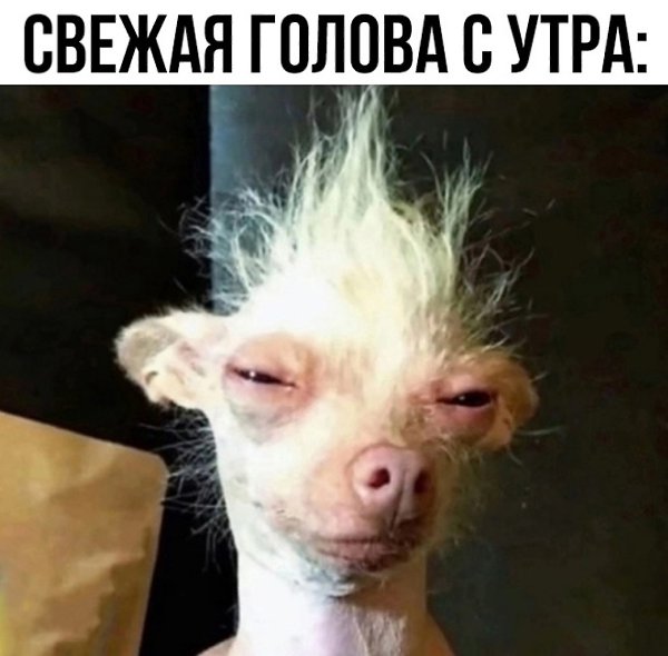 ������ ��� ��������? - 2