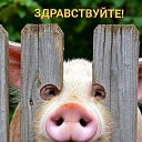 ���� ����, ������, 60 ��� - ��������� 26 ���� 2025 � ������ ���� ����������