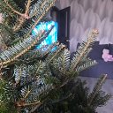 ���� ����, ��������� - ��������� 14 ������ 2026 � ������ ������ ��������