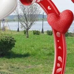 ���, �����, 65 ���