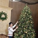 ���� �����, �����, 63 ���� - ��������� 28 ������� 2024 � ������ ���� ����������
