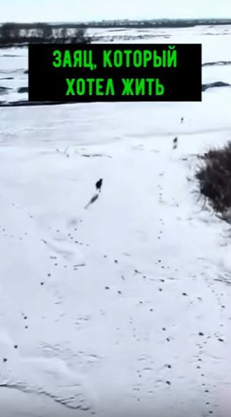 ������������� ������! � ����� �������� ������� ����. ��������� �� ���� ������, ��� �� ����!