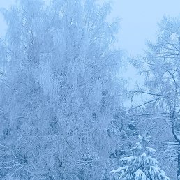 ���� �������, �����������, 62 ���� - ��������� 29 ������� 2023