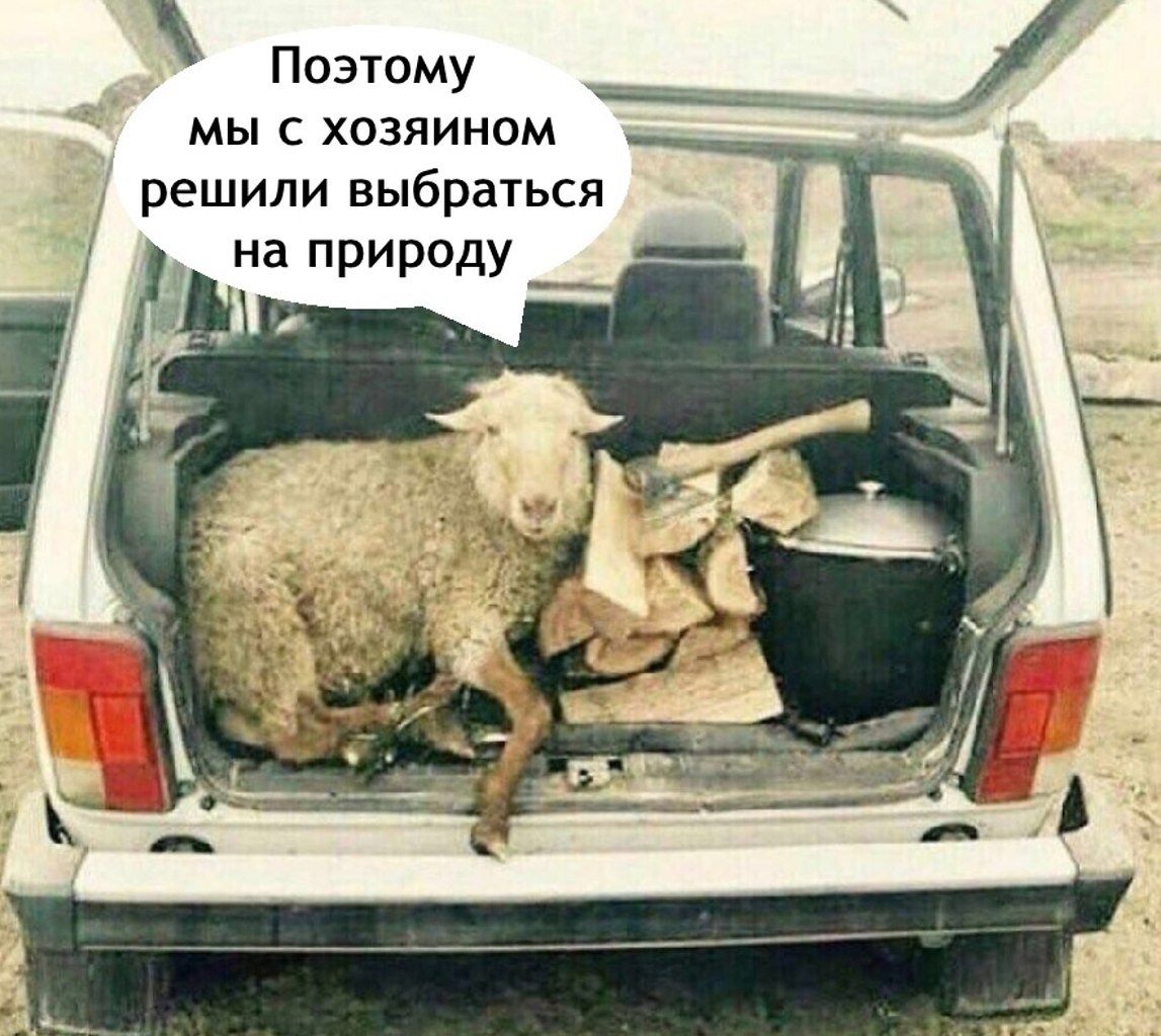   ,    .. - 2