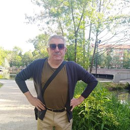 , 54, 