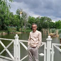 , 54, 