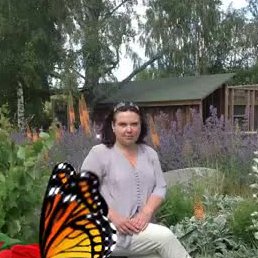 �������, ������ ��������, 102 ����